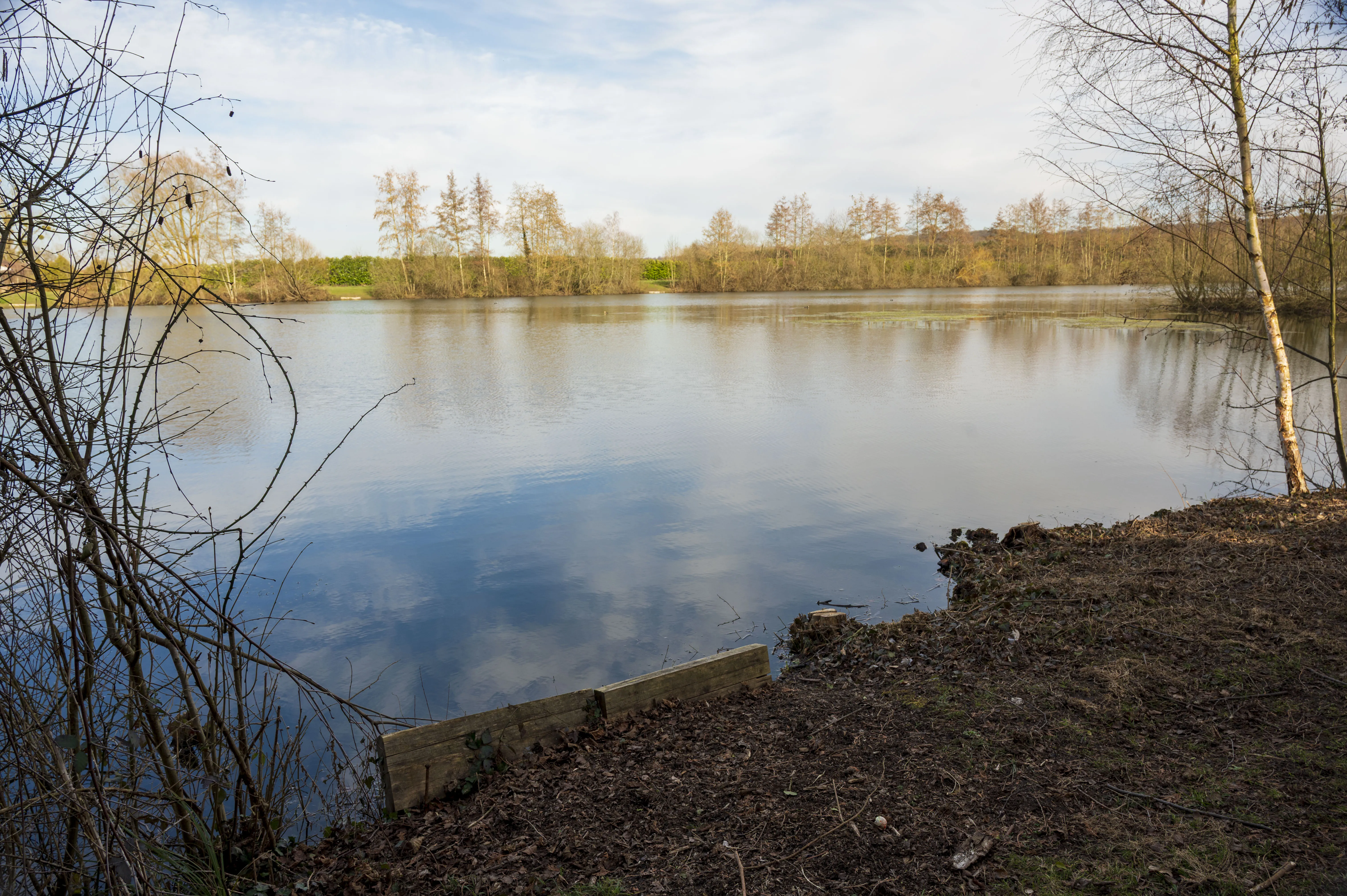 Image 13