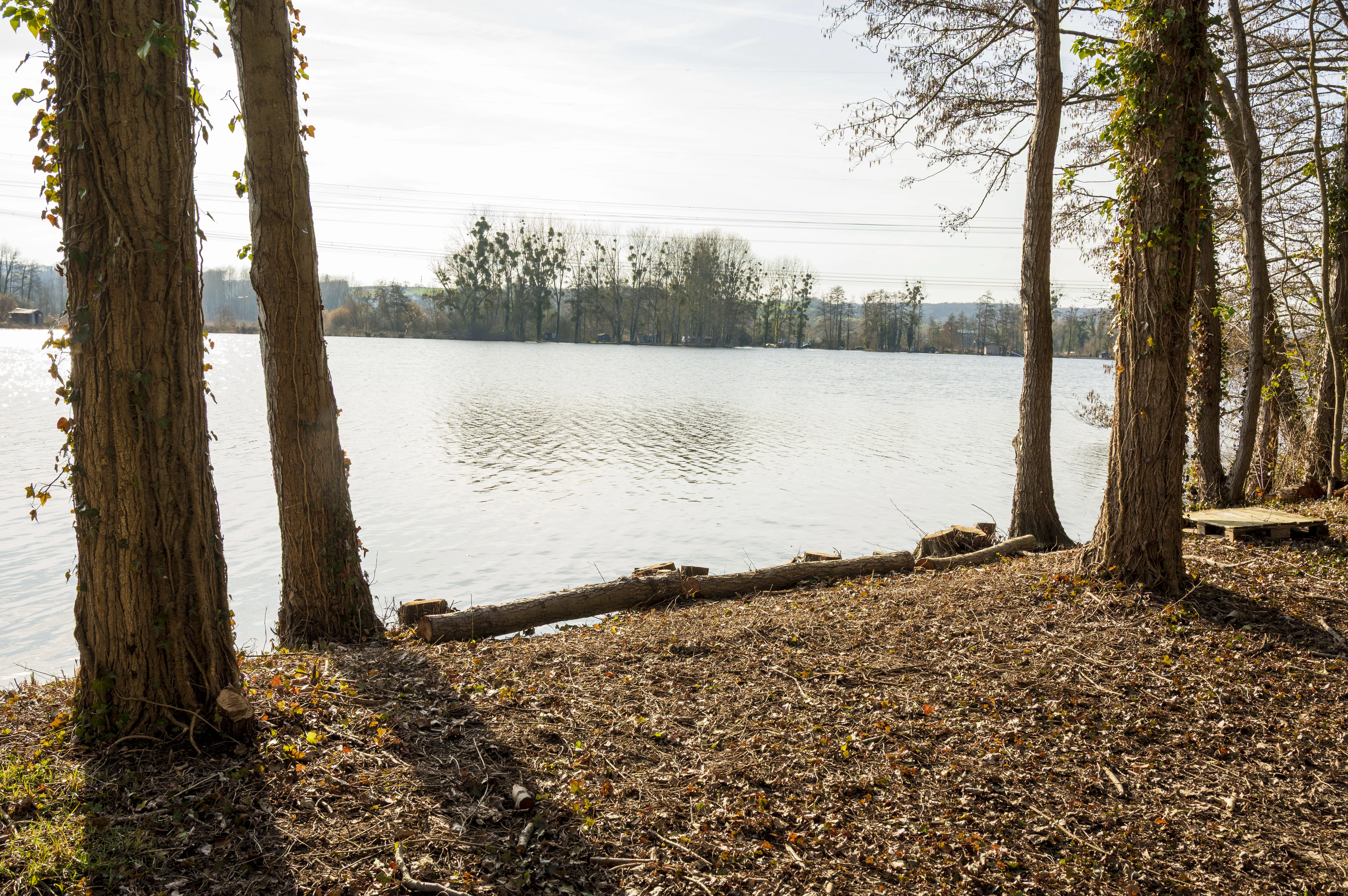Noute 6 - Fishing spot double 25