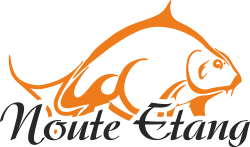 Logo de DNE